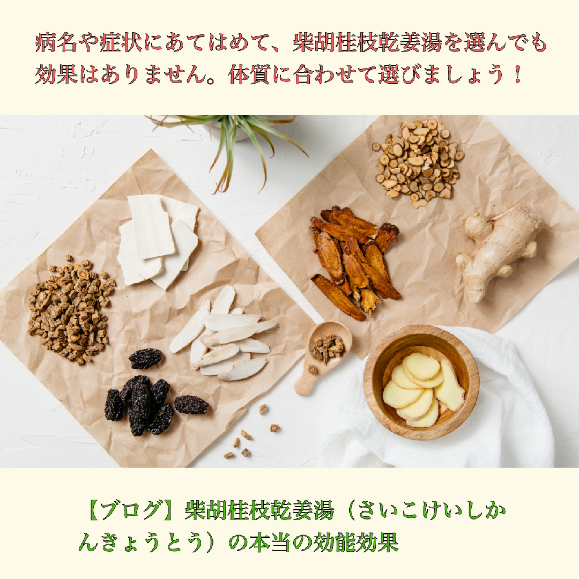 柴胡桂枝乾姜湯(さいこけいしかんきょうとう)の本当の効能効果