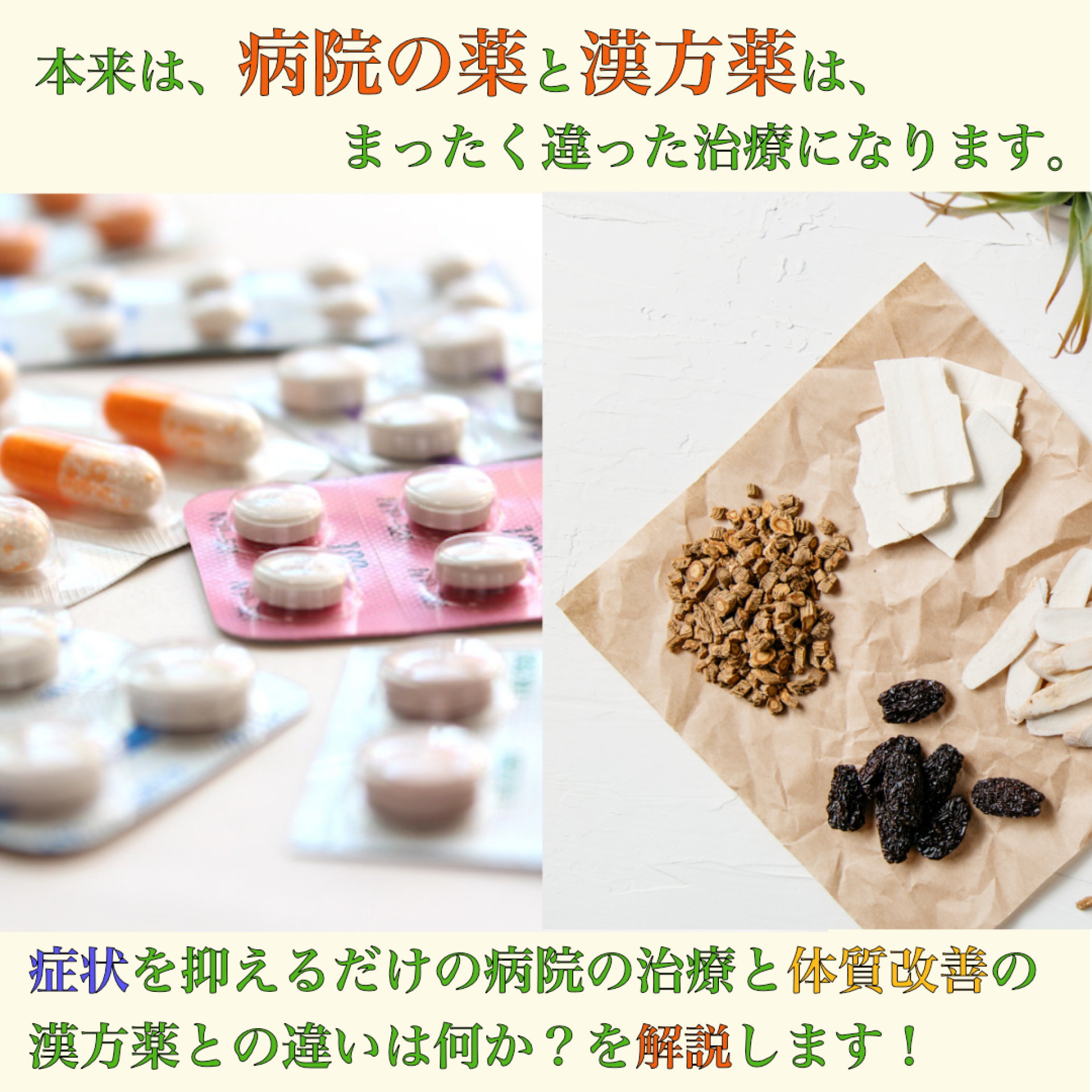 病院の薬と漢方薬の治療の違い(根本治療と対症療法)